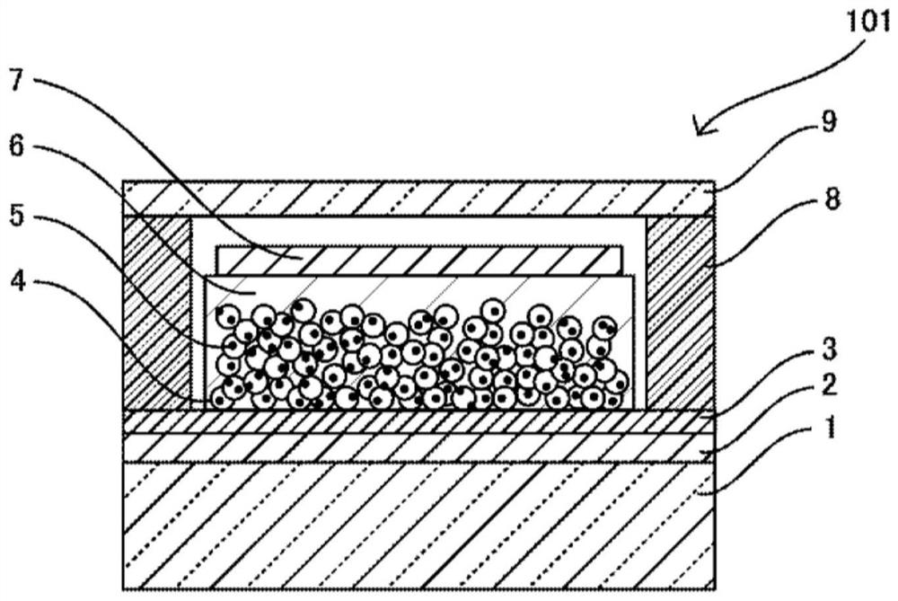 Solar cell module