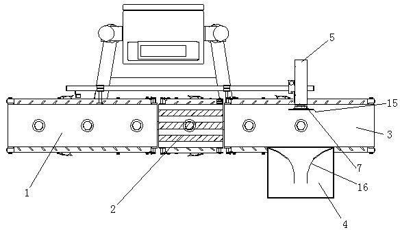 Bottled drug anti-falling type check weighing waste product rejection device