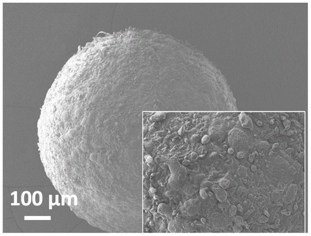 A kind of polypropylene heterophasic copolymer resin with high rubber content that can be used for 3D printing and its preparation method and application