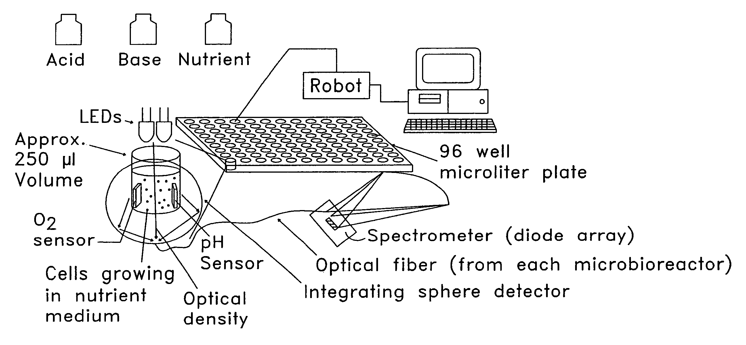 Bioreactor and bioprocessing technique