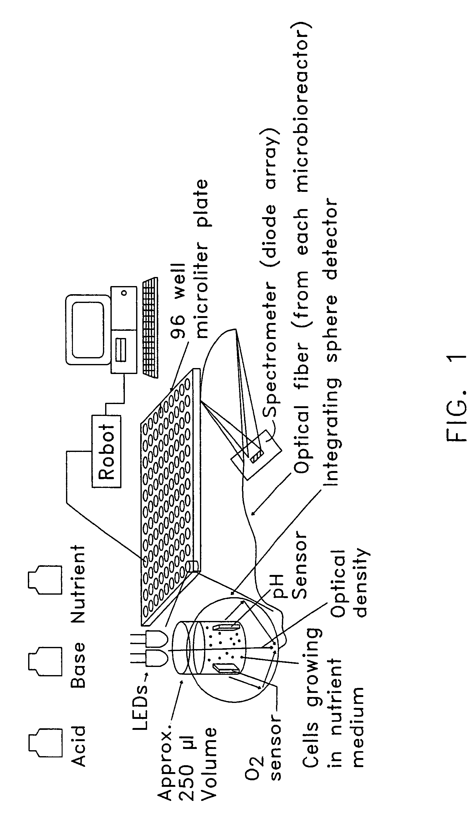 Bioreactor and bioprocessing technique