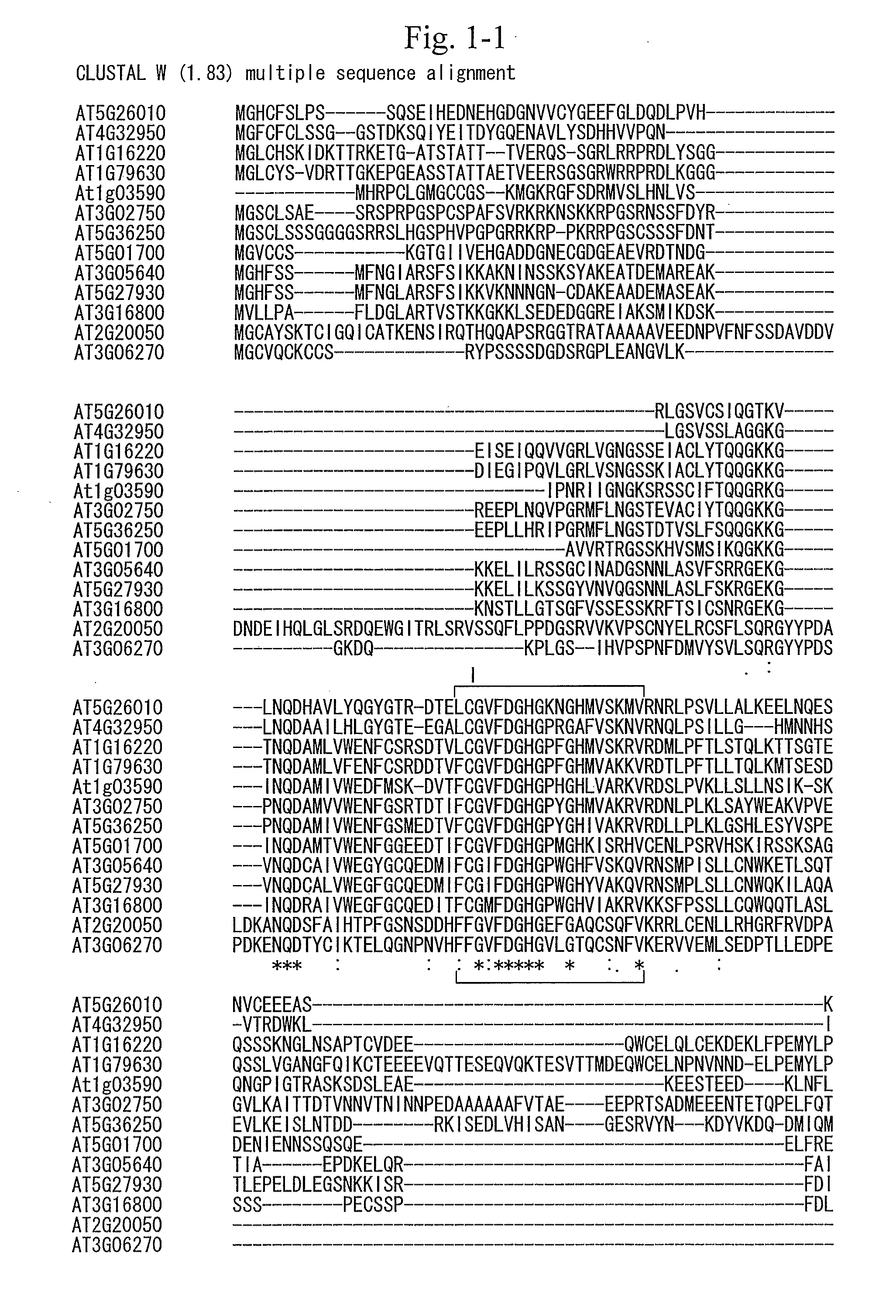 Gene for increasing the production of plant biomass and/or seeds and method for use thereof