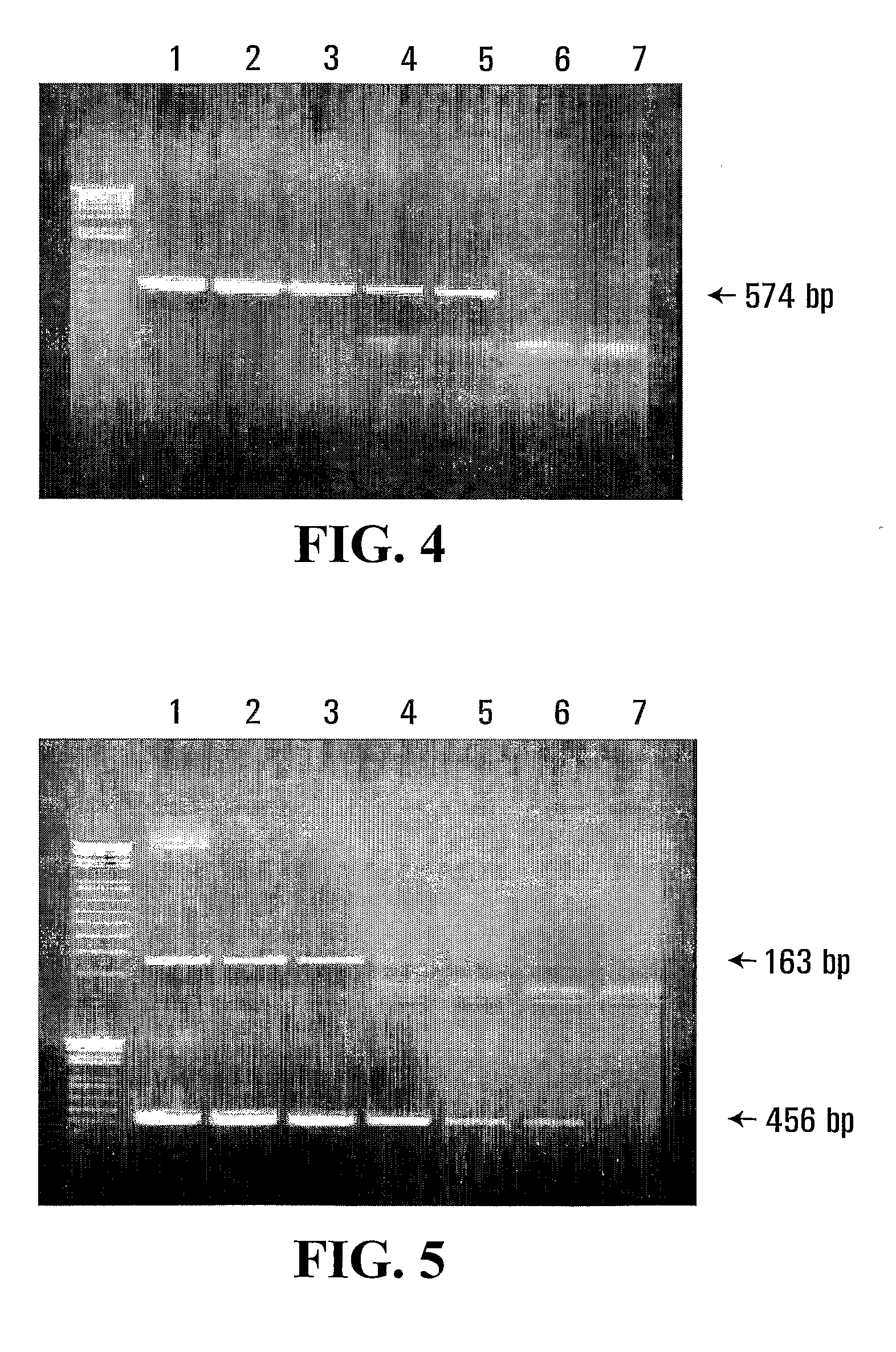 Diagnostic Primers And Method For Detecting Avian Influenza Virus Subtype H5 And H5N1