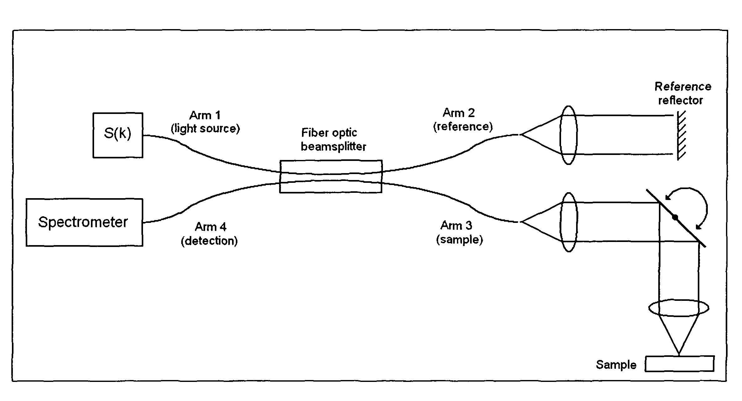 Dynamic motion contrast and transverse flow estimation using optical coherence tomography