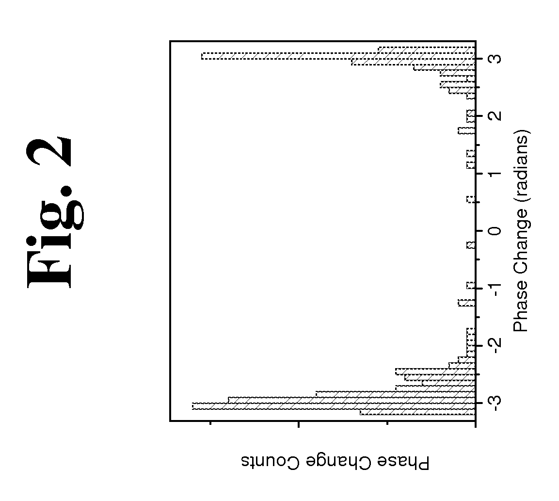 Dynamic motion contrast and transverse flow estimation using optical coherence tomography