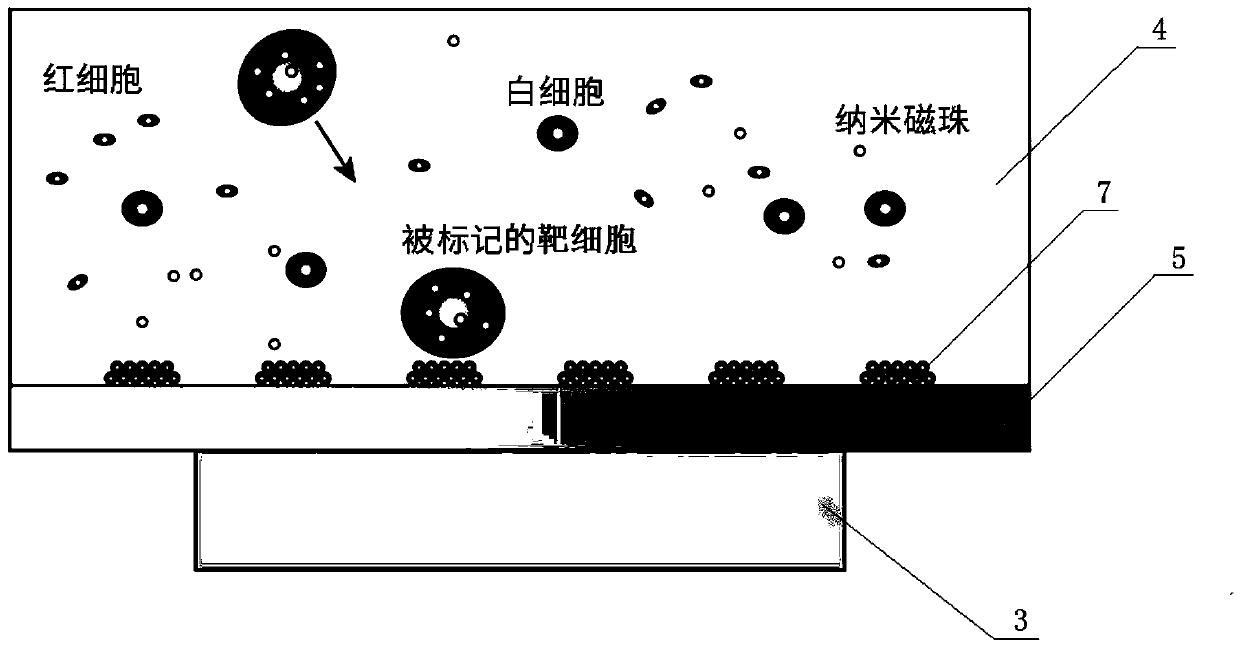 Micro magnet cell capturing device and manufacturing method thereof