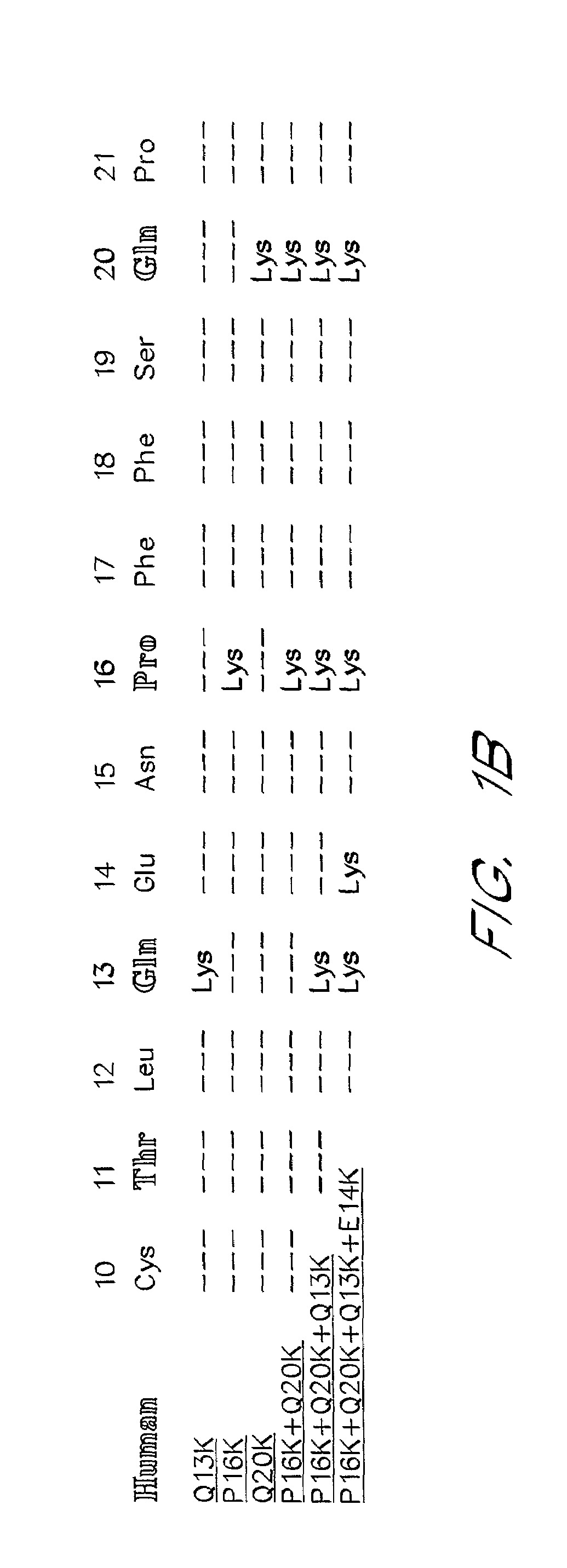 Follicle stimulating hormone superagonists