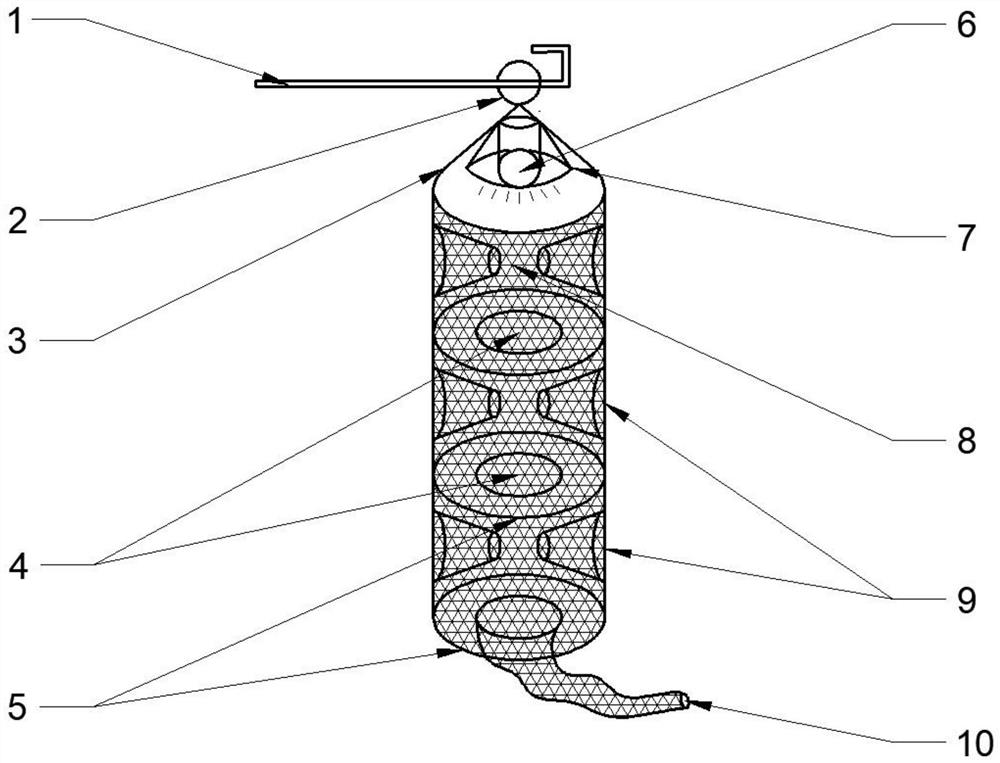 Lamplight trapping device and method for young marsupenaeus japonicus