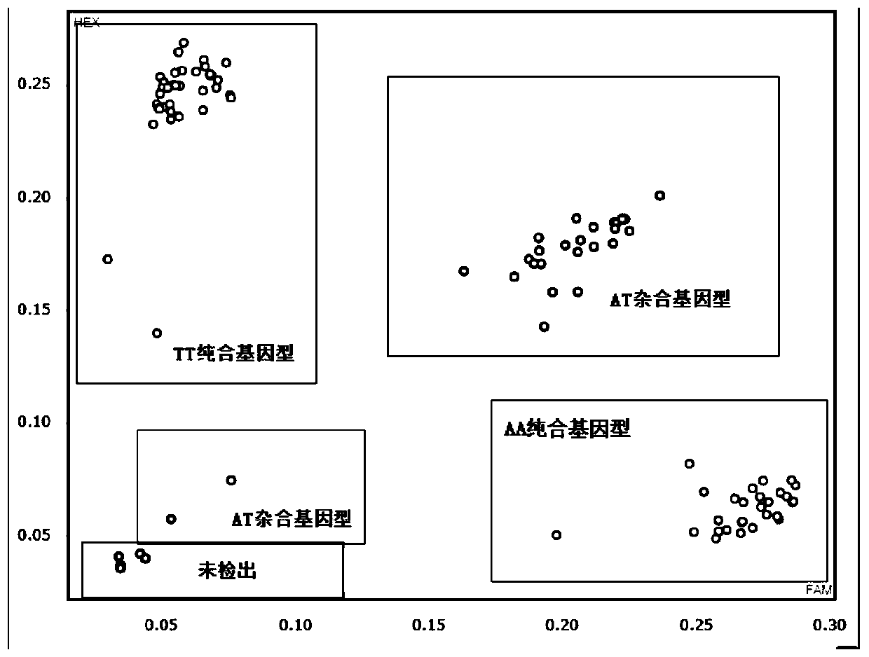 KASP molecular marker for detecting rice blast resistance broad-spectrum gene Pil and application