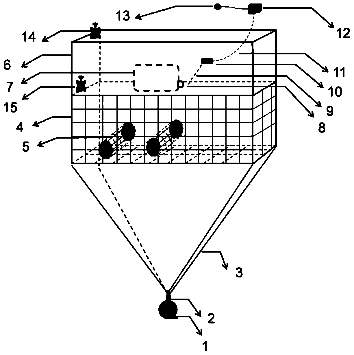 Experimental device and application method for in situ study of seawater microplastic niche