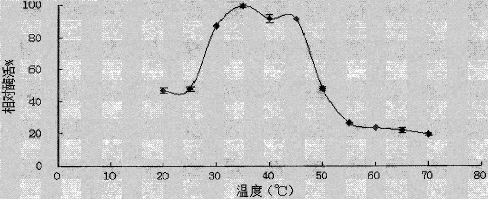 Alteromonas and method thereby for producing gel-type enteromorpha polysaccharide degrading enzyme by using Alteromonas