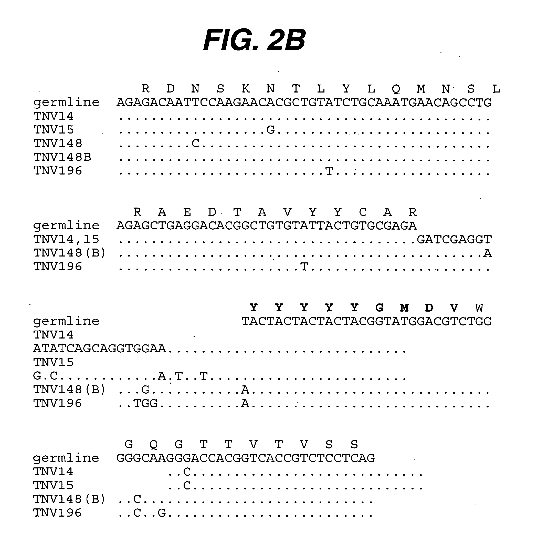 Anti-TNF antibodies, compositions, methods and uses