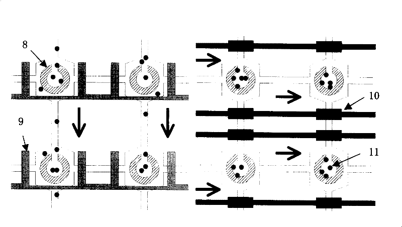 Microfluidic cell array chip for high-throughput medicament screening, method and use