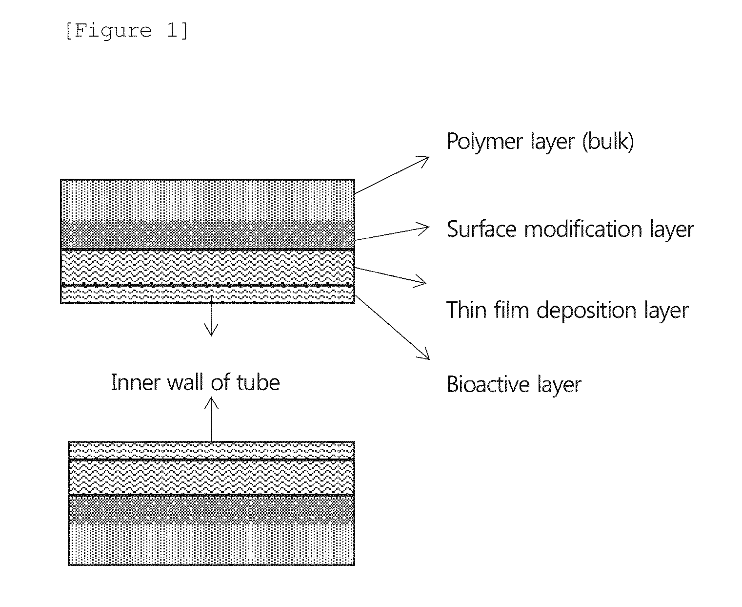Tube with modified inner wall surface using plasma and a preparation method thereof