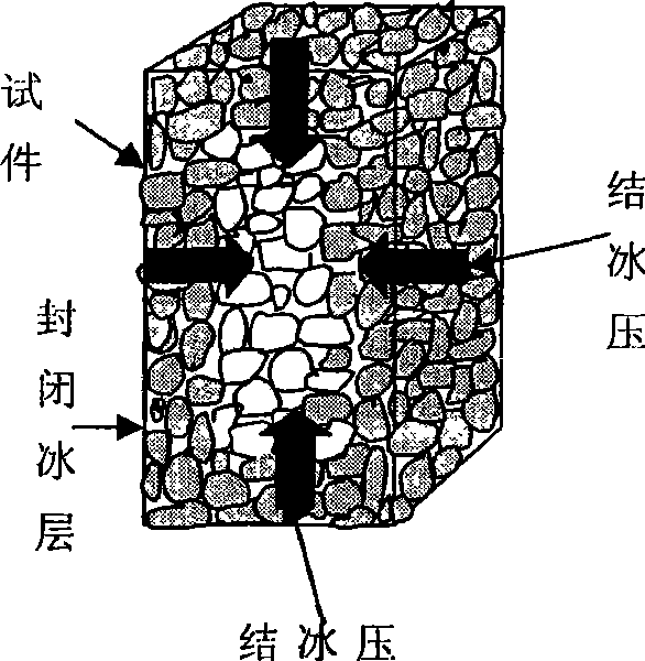 Method for testing dough recovery of ecological type porous concrete