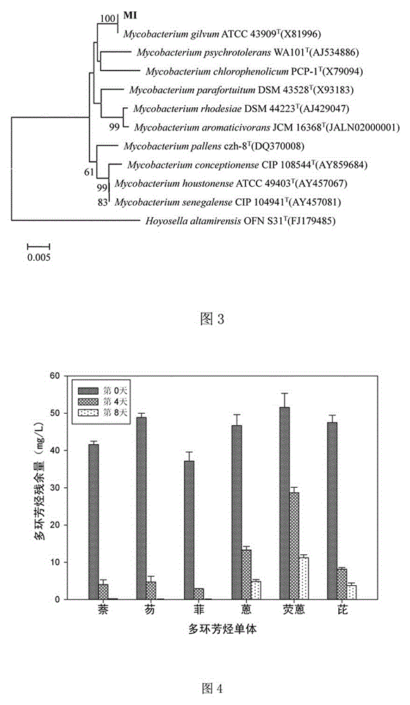 Polycyclic aromatic hydrocarbon removal composite material, and preparation method and use thereof