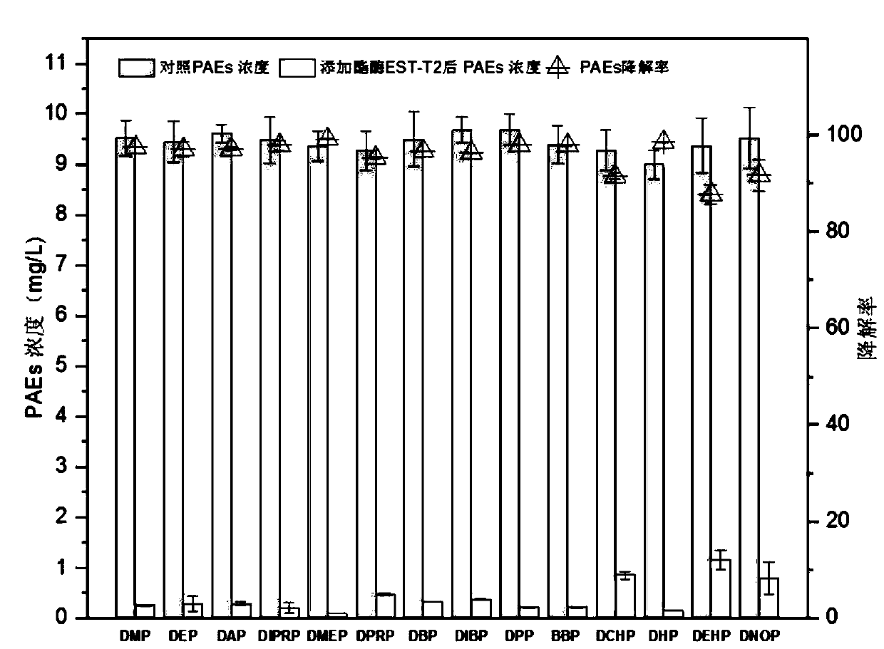 Esterase gene and encoded protein as well as application