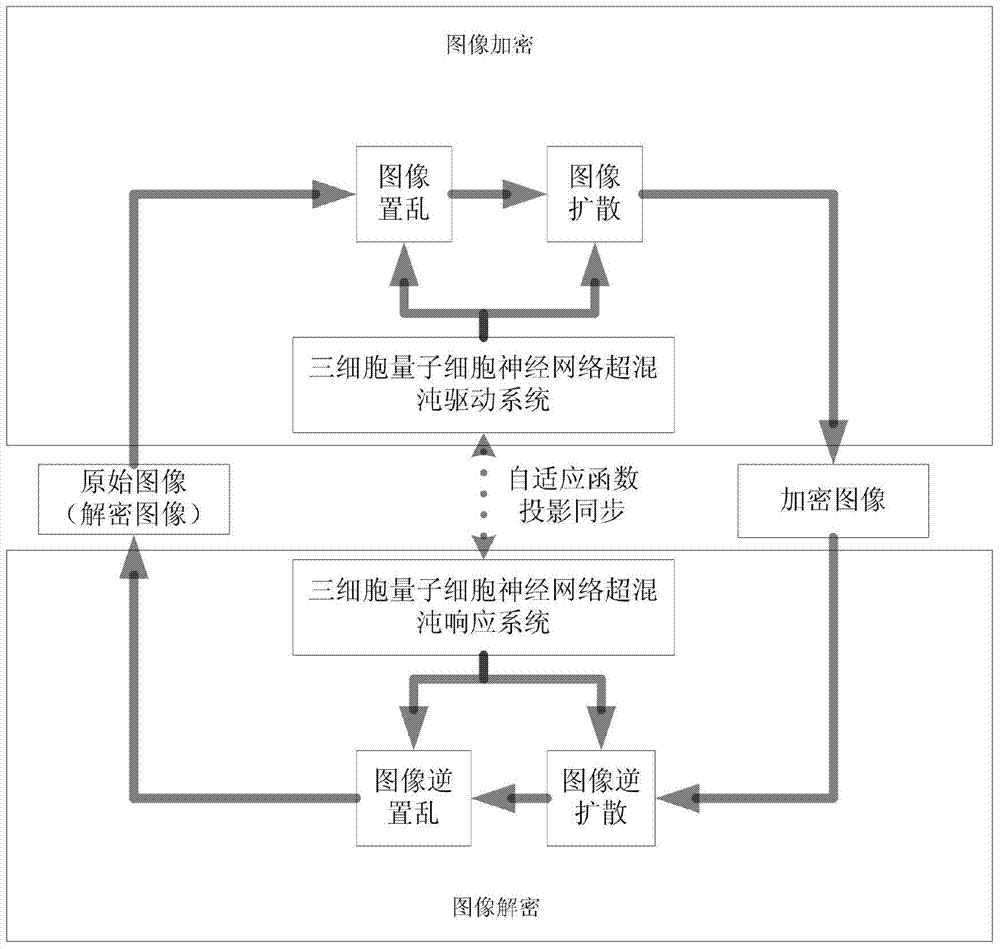 Asymmetric image encryption and decryption method based on quantum cell neural network system