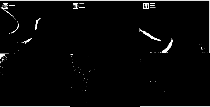 High-solid artificial leather superfine fiber base cloth and post-treatment manufacturing method thereof