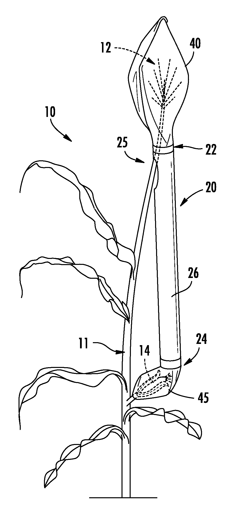 Apparatus and method for delivering pollen for directed pollination of plants