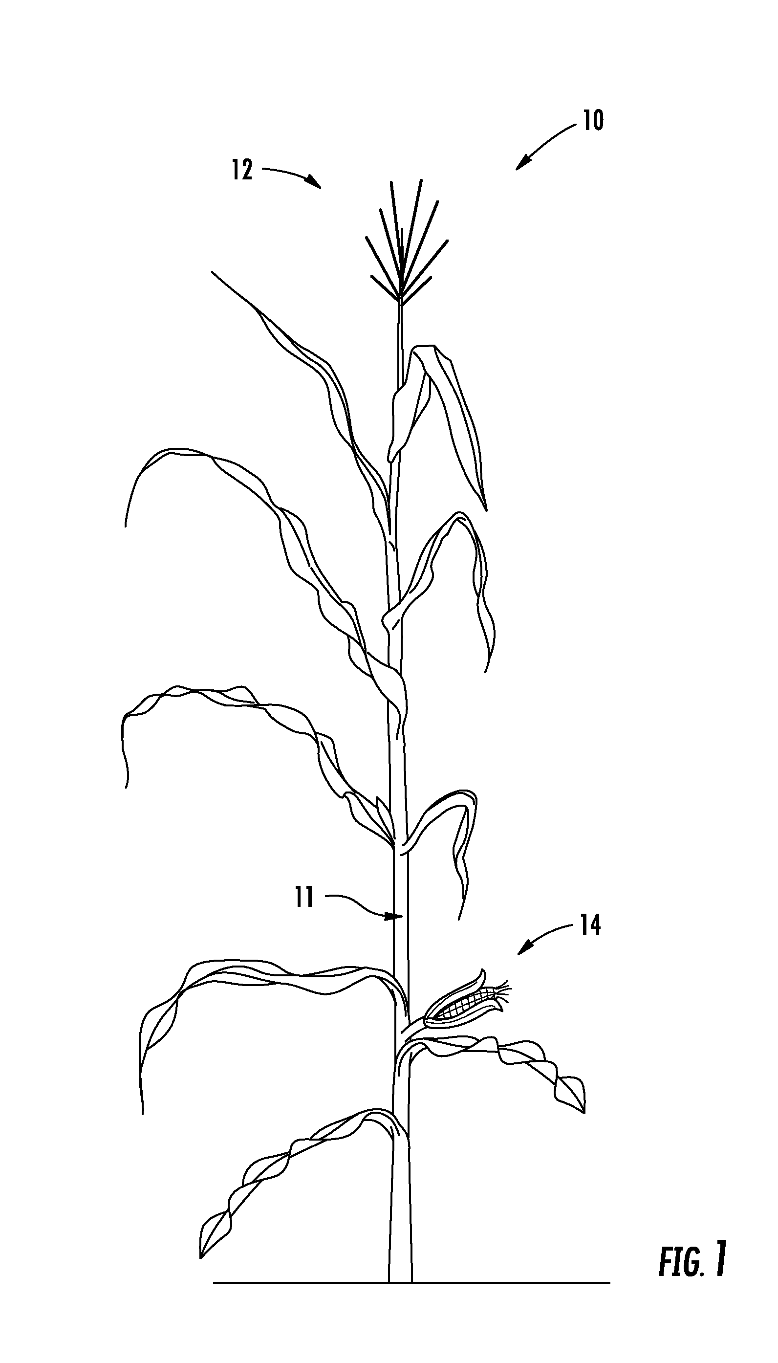 Apparatus and method for delivering pollen for directed pollination of plants