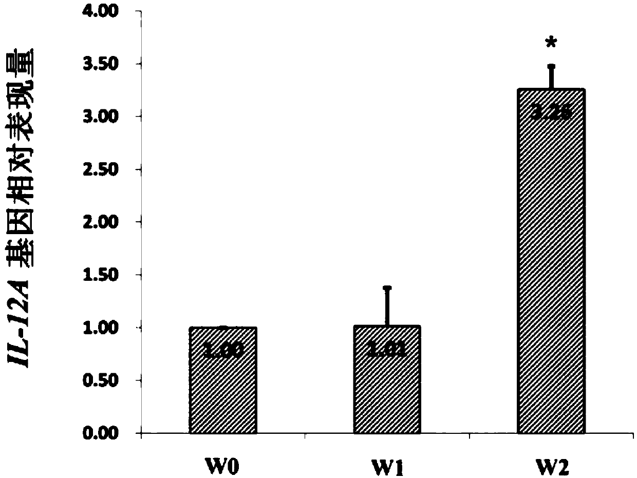 Uses of convallaria essential oil