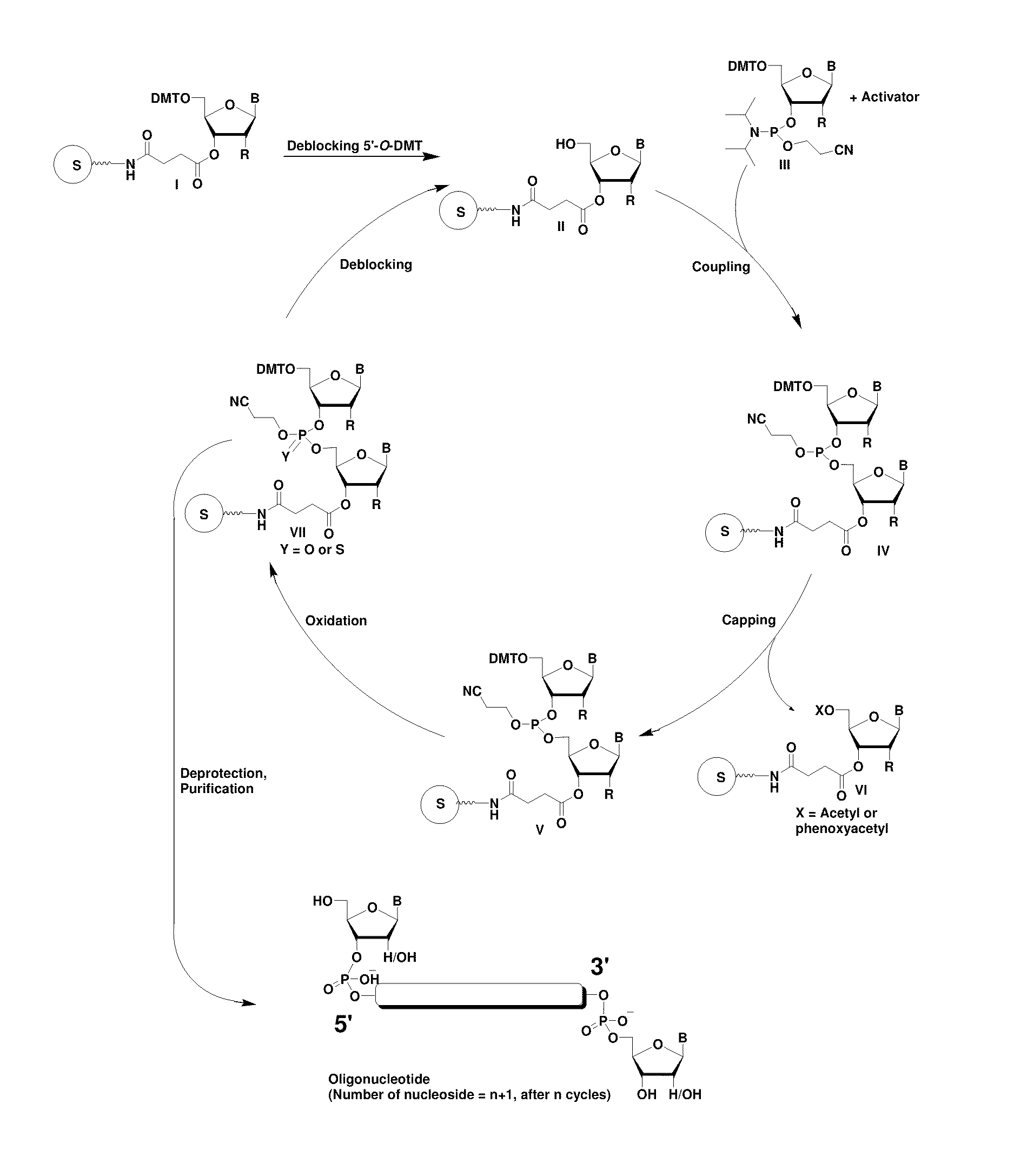 RNAi Agents Comprising Universal Nucleobases