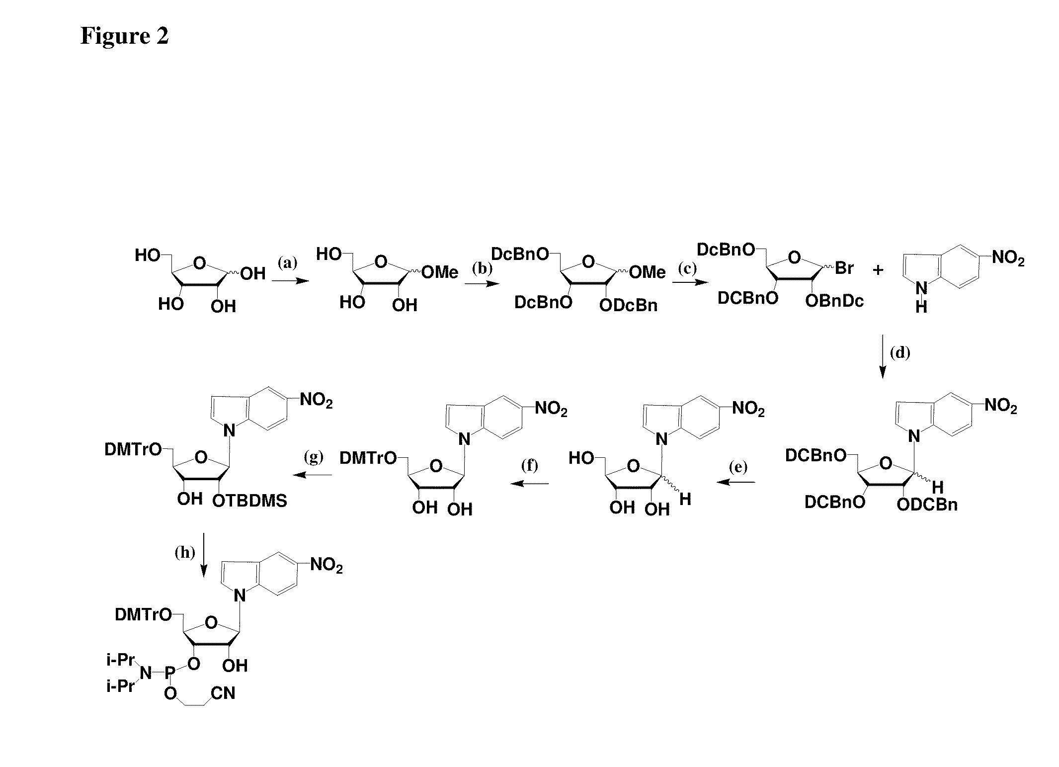 RNAi Agents Comprising Universal Nucleobases