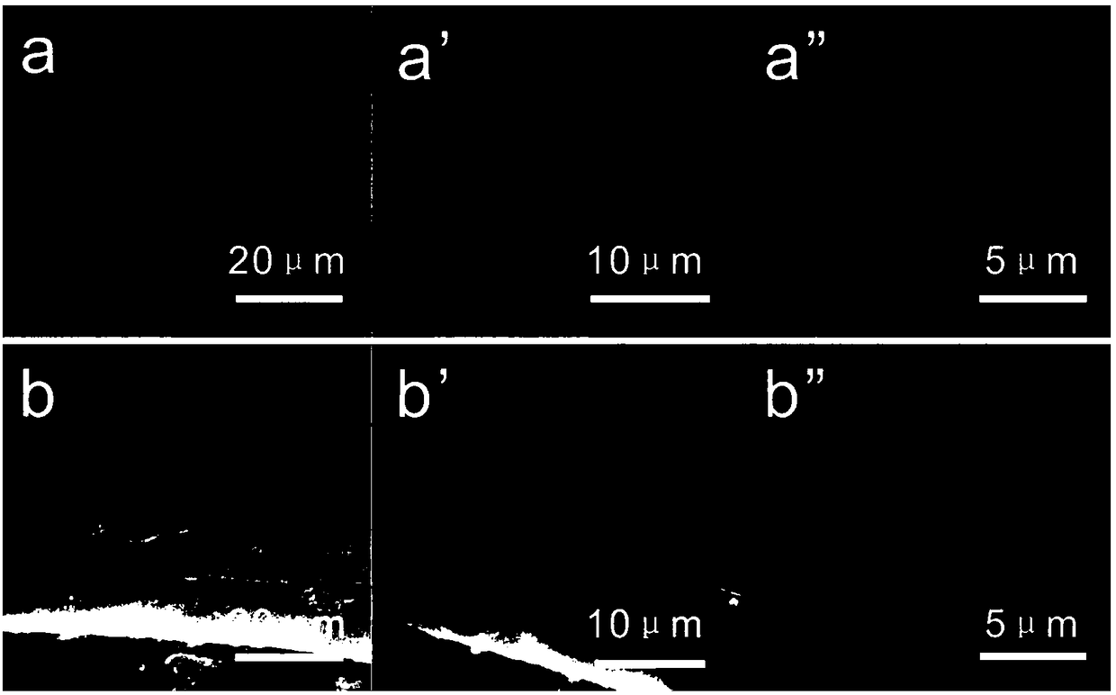 Material and preparation method for ph-controlled transition from superamphiphobic to superhydrophobic/superlipophilic