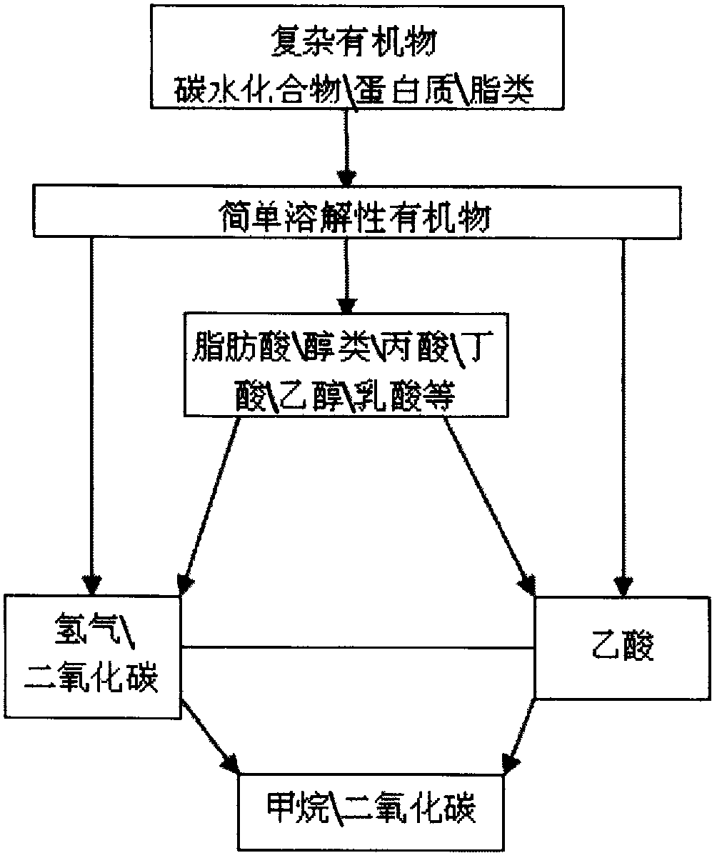 Separated anaerobic baffled reactor and work method of separated anaerobic baffled reactor