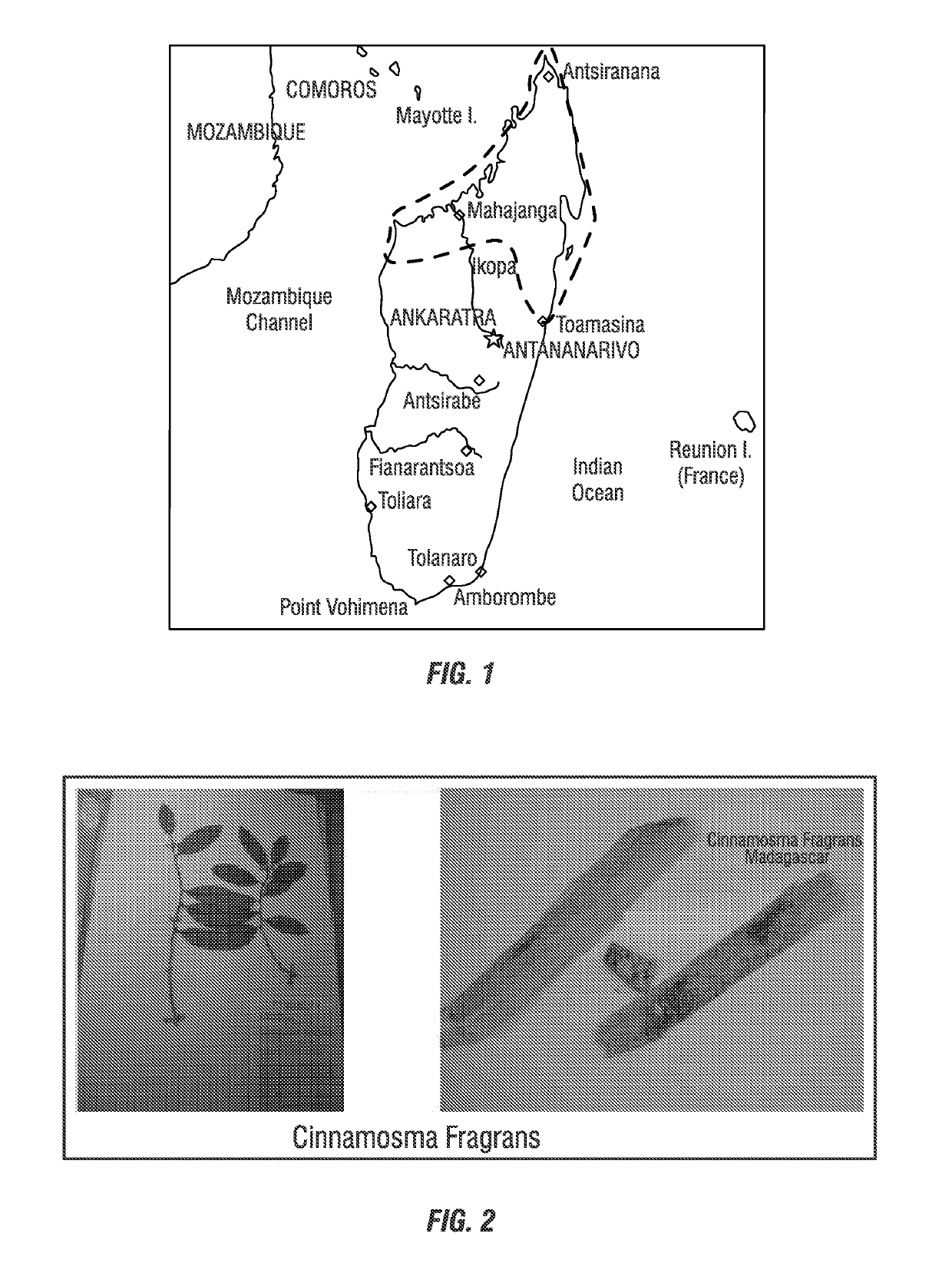 Use of sesquiterpenes and their analogs as green insecticides for controlling disease vectors and plant pests