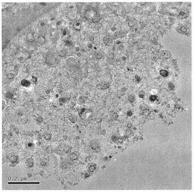 Preparation method of carbon-coated metallic nano-particles