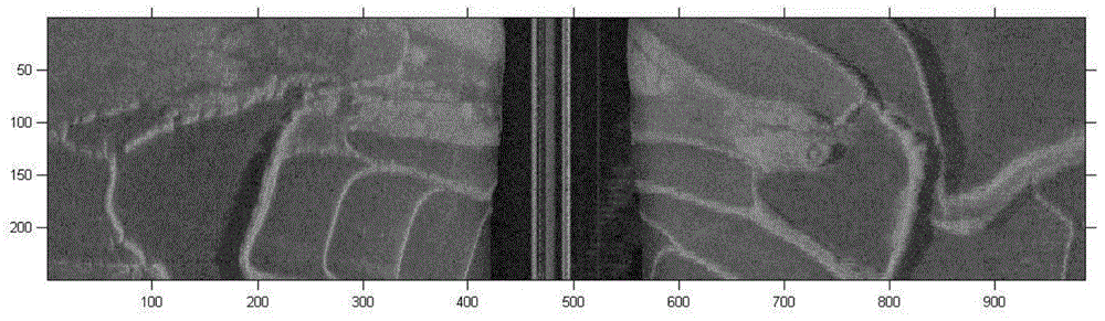 A Slant Range Distortion Elimination Method for Multi-beam Side Scan Sonar Based on Blind Spot Correction