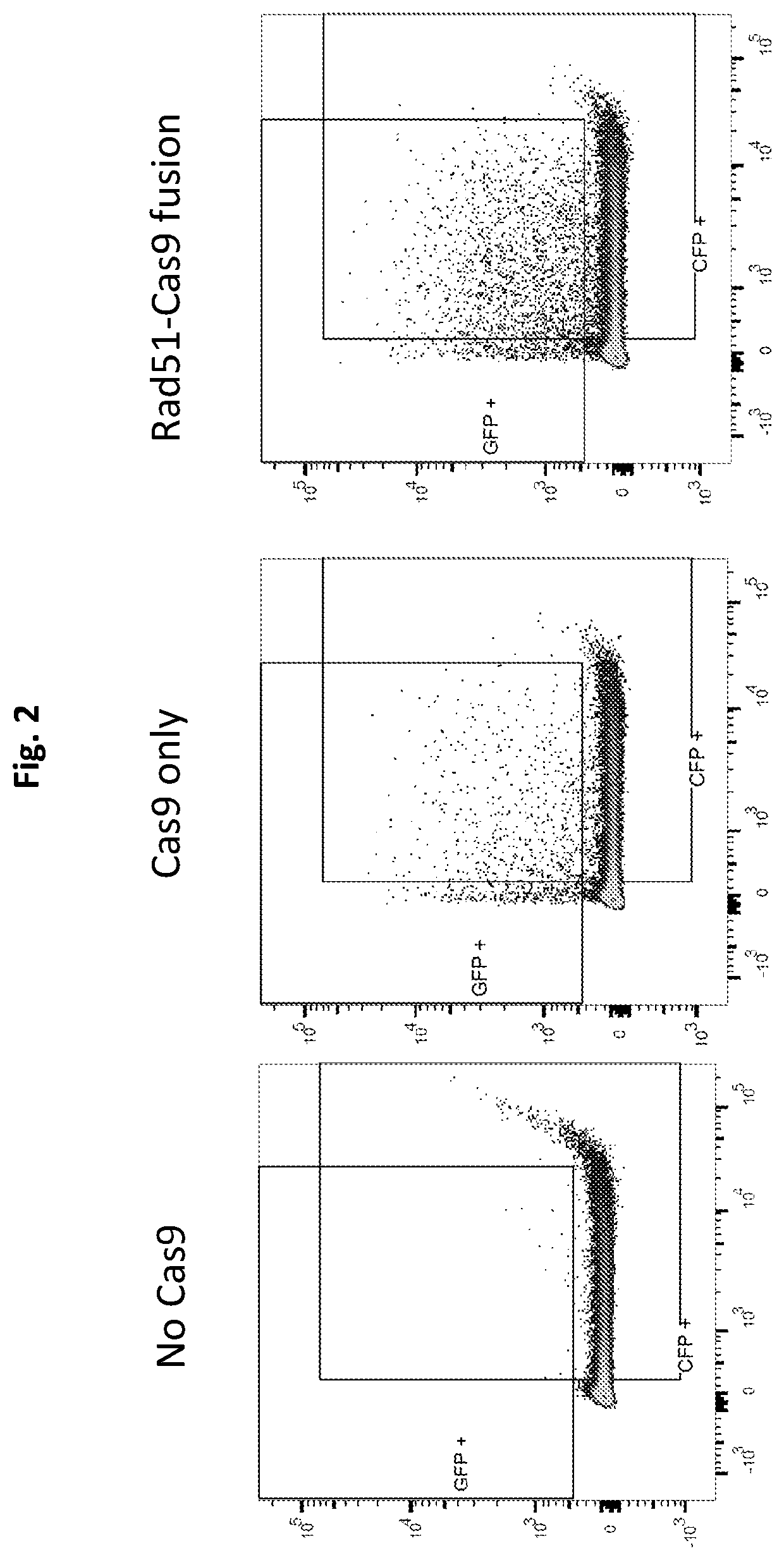 Compositions and methods for promoting homology directed repair mediated gene editing