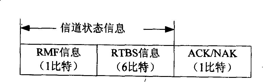 Processing method and information format for high-speed downlink packet access channel status information feedback