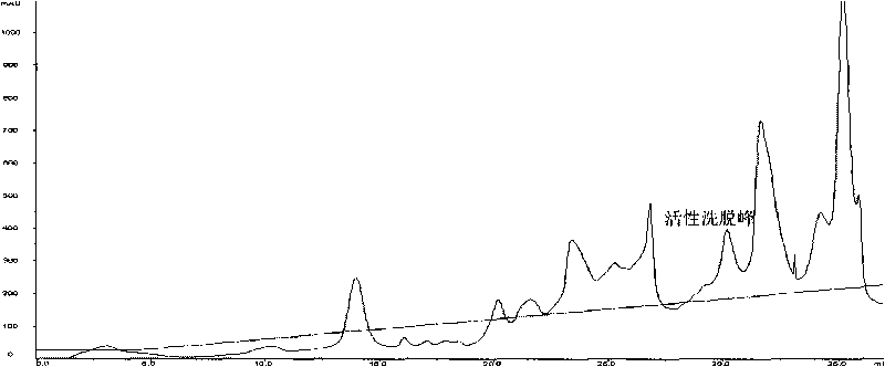 Anti-tumor protein and preparation method and application thereof