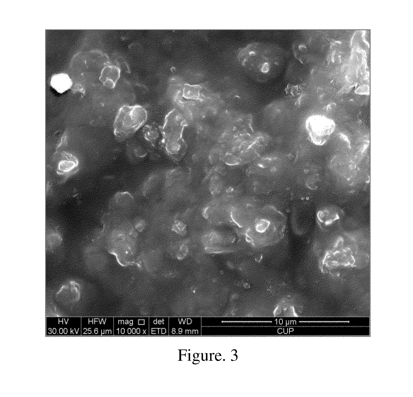 Biomimetic polymer for stabilizing wellbore and method for preparation of the same and drilling fluid