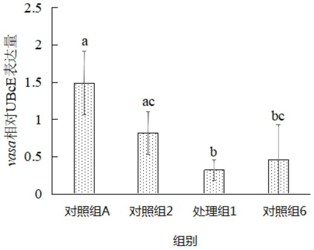 A method for inducing apoptosis of ovary germ cells in flounder fish