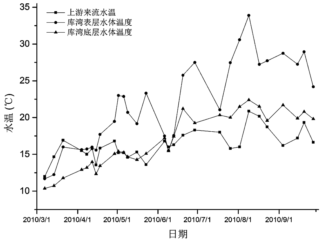 Ecological scheduling method for controlling water bloom by adjusting incoming flow amount of branch upstream