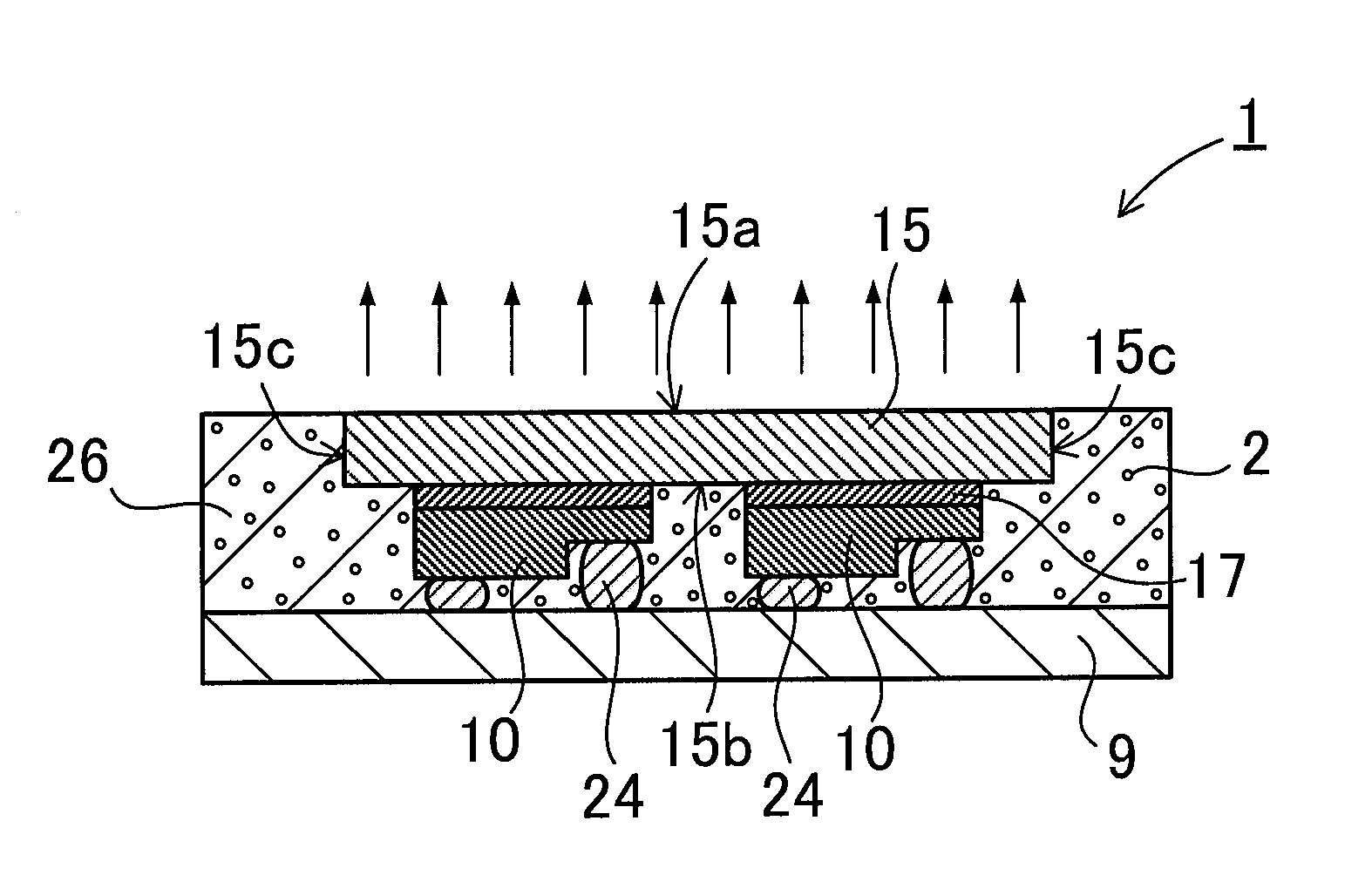 Light emitting apparatus and method for producing the same