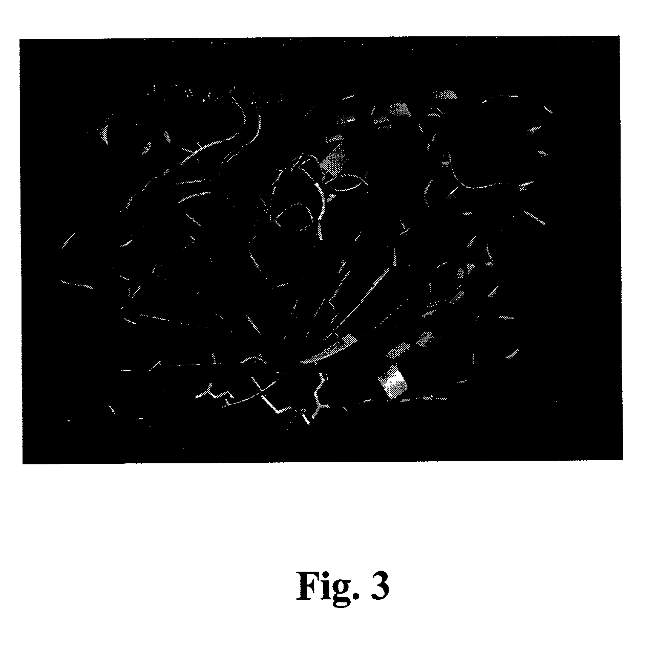 Nuclear magnetic resonance screening method