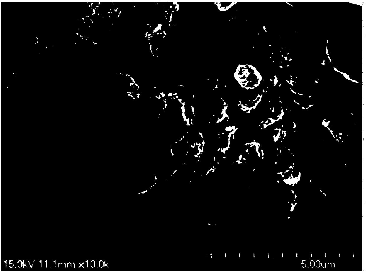 Disposable degradable self-nutritive lightweight flower pot and preparation method thereof