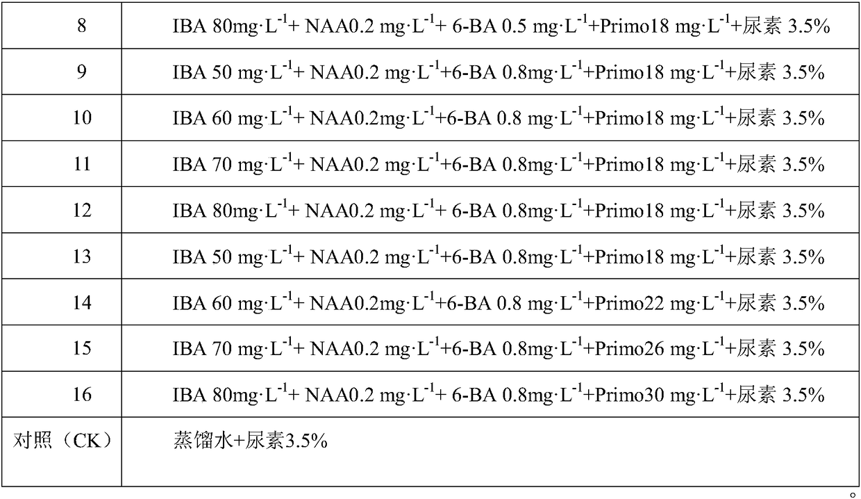 A method for promoting adventitious root growth and root network layer formation of seashore paspalum seed stems