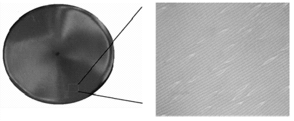 Annular micro-fold optical lens and preparation method thereof