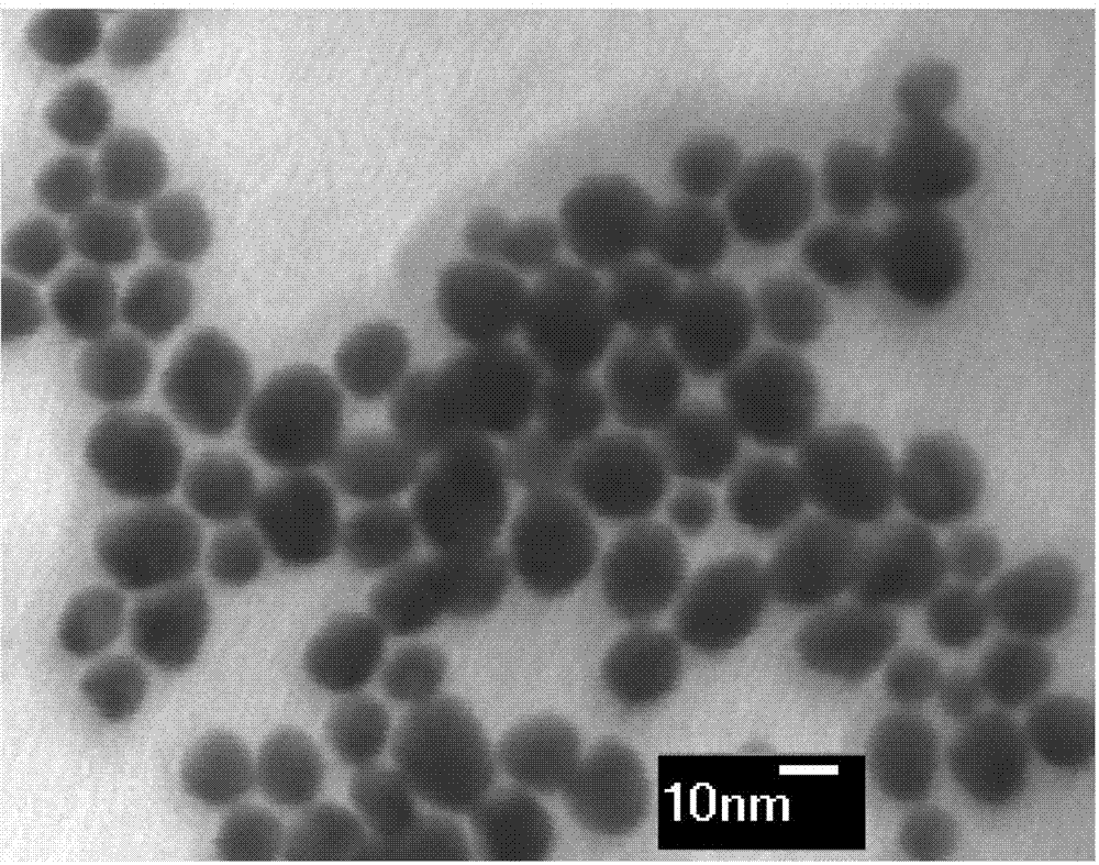 Environmentally-friendly synthetic method for metal nanoparticle