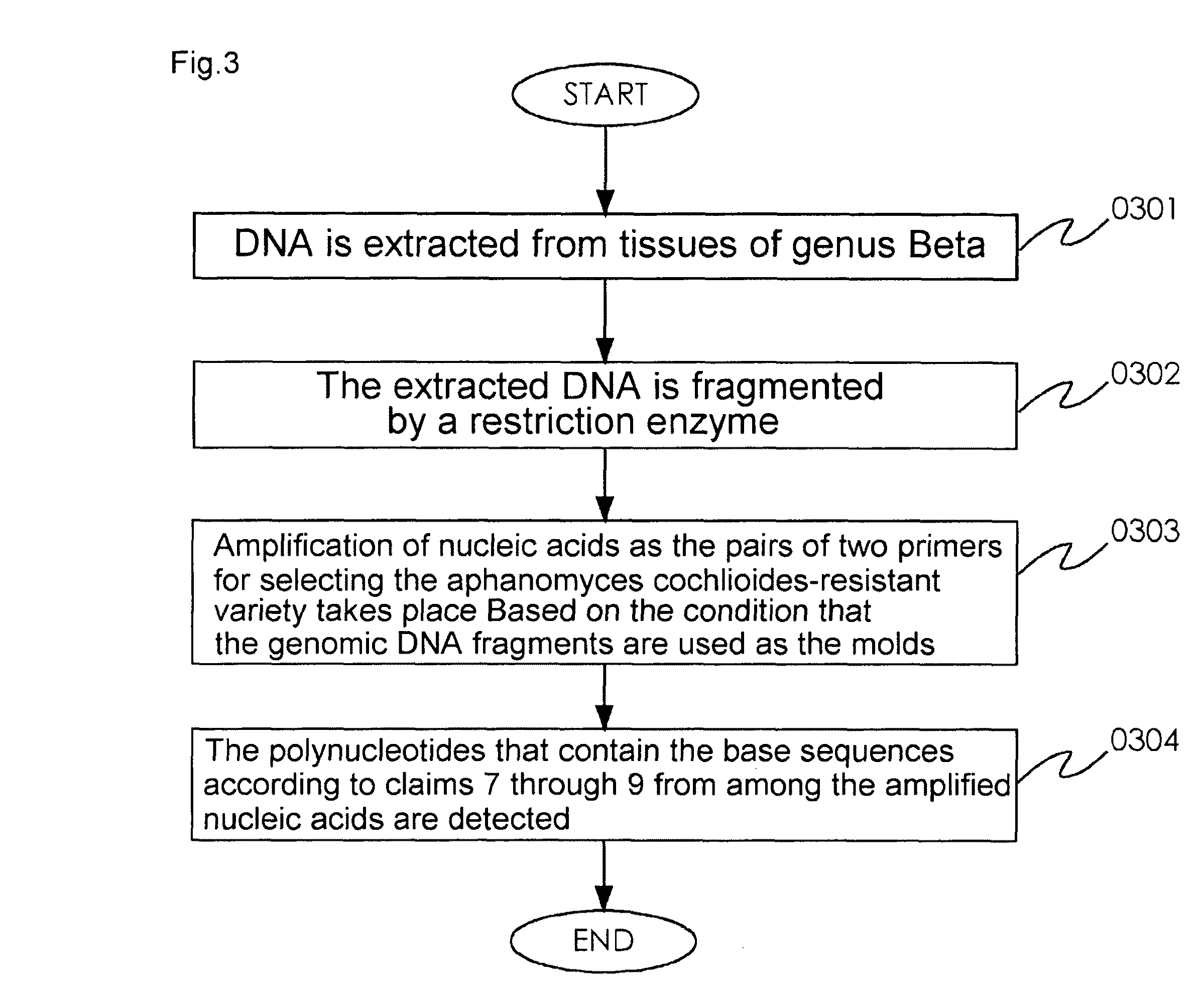 Marker for selecting an <i>aphanomyces cochlioides</i>-resistant variety and selection method therefor