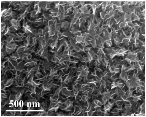 Novel graphene-like molybdenum disulfide-based self-cleaning ecological glass and preparation method thereof