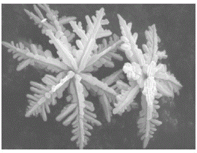 Silver powder for printing size for solar cell electrodes and preparation process thereof