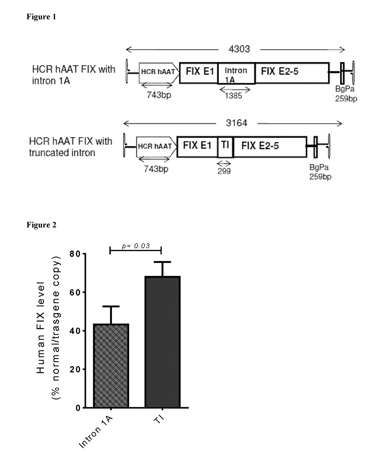 Factor ix gene therapy