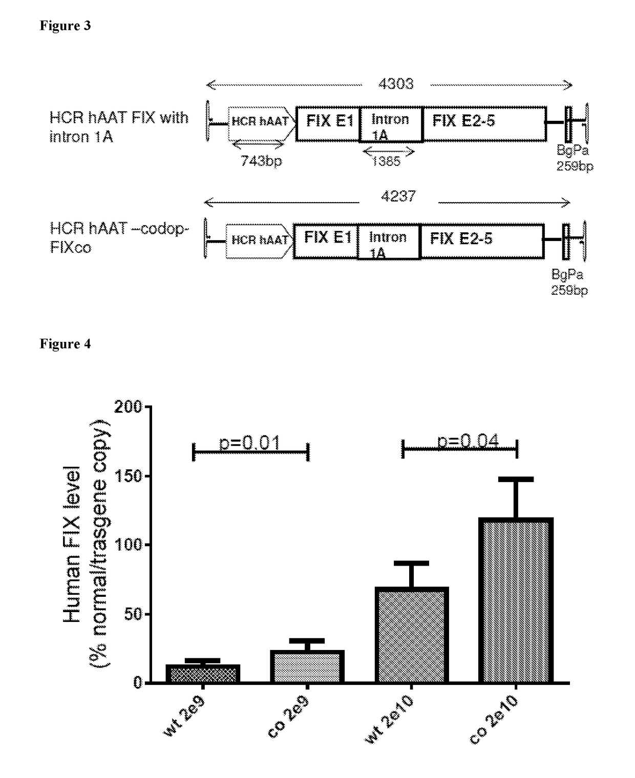 Factor ix gene therapy